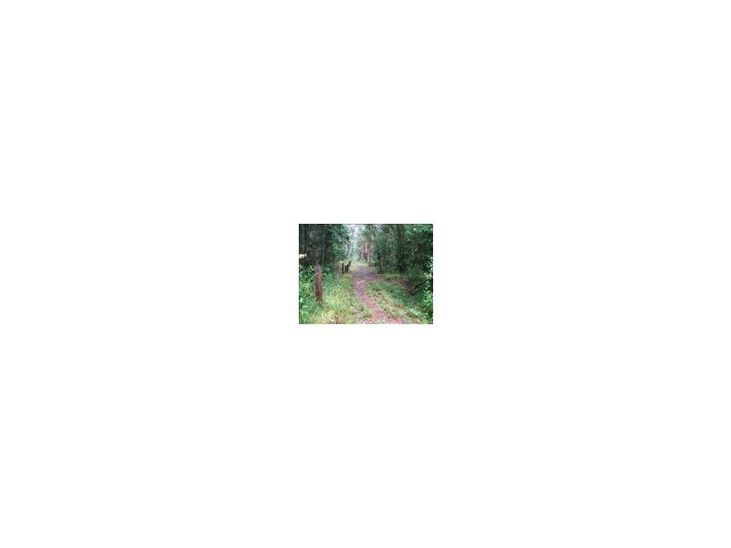 Eumundi QLD 4562