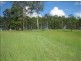 Eumundi QLD 4562