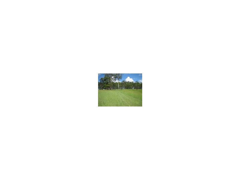 Eumundi QLD 4562