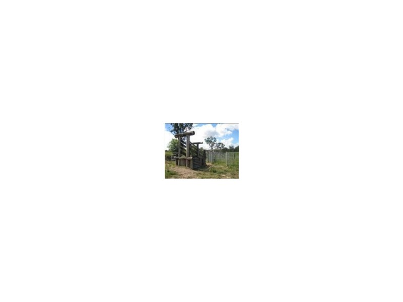 Eumundi QLD 4562