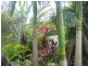 Yandina QLD 4561
