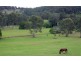 Valdora QLD 4561
