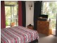 Yandina QLD 4561
