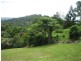 Yandina QLD 4561