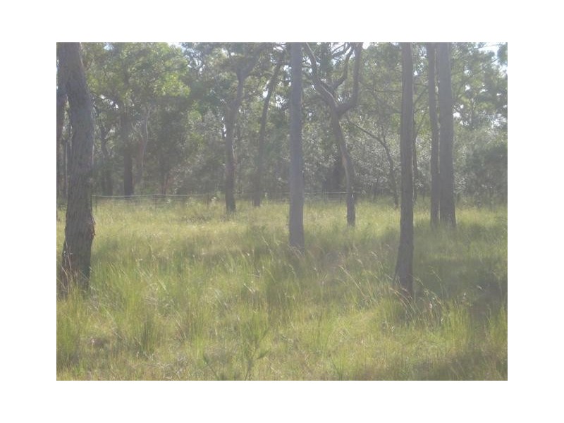 Pacific Haven QLD 4659