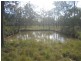 Pacific Haven QLD 4659