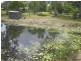 Howard QLD 4659