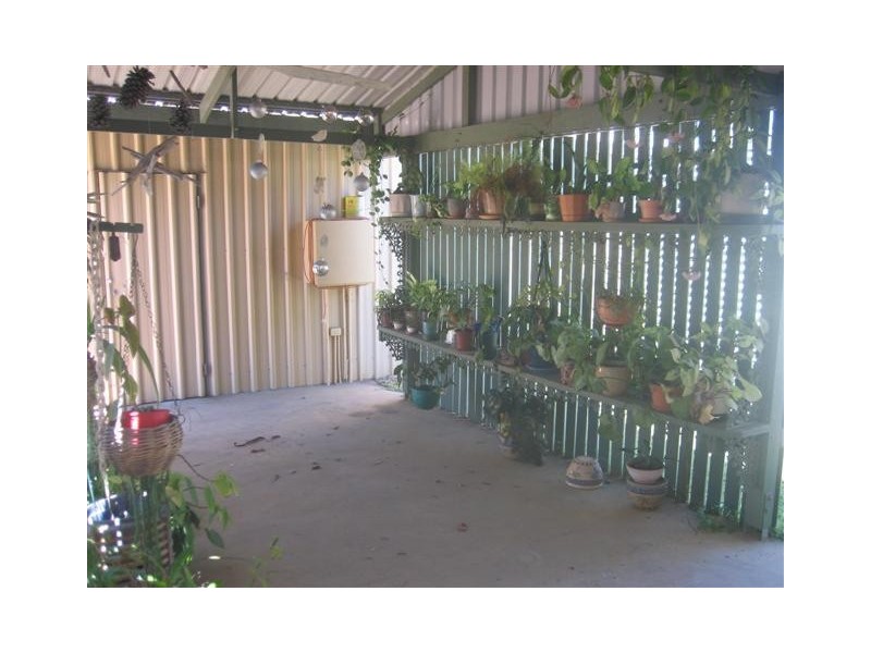 Pacific Haven QLD 4659