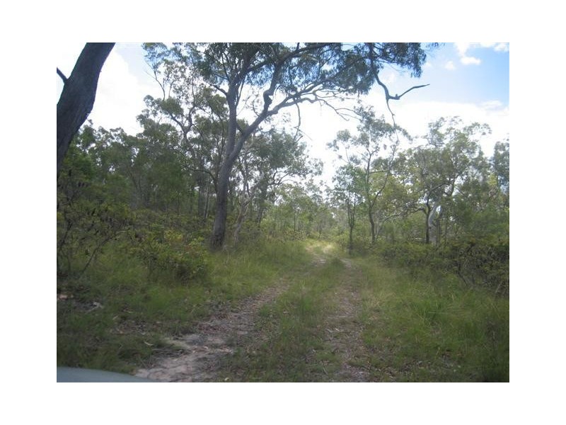 Pacific Haven QLD 4659