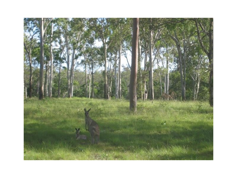 Pacific Haven QLD 4659