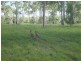 Pacific Haven QLD 4659