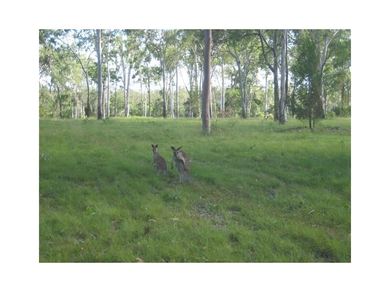 Pacific Haven QLD 4659