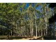 Bangalow NSW 2479