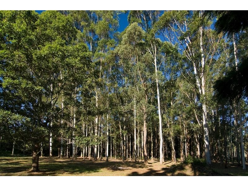 Bangalow NSW 2479