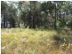 Bergalia NSW 2537