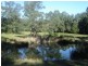 Nelligen NSW 2536