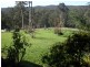 Nelligen NSW 2536