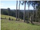 Nelligen NSW 2536