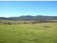 Wyndham NSW 2550