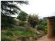 Wyndham NSW 2550
