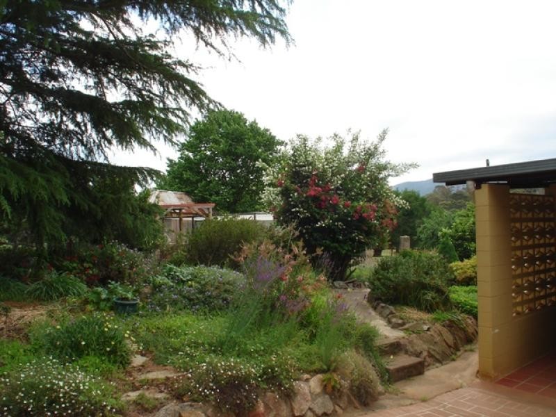Wyndham NSW 2550