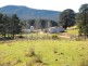Wyndham NSW 2550