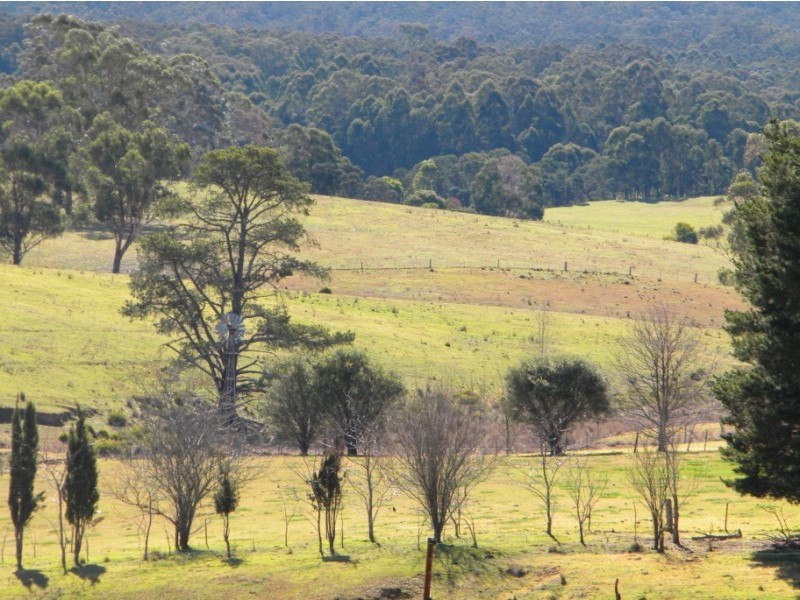 Wyndham NSW 2550