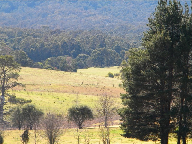 Wyndham NSW 2550