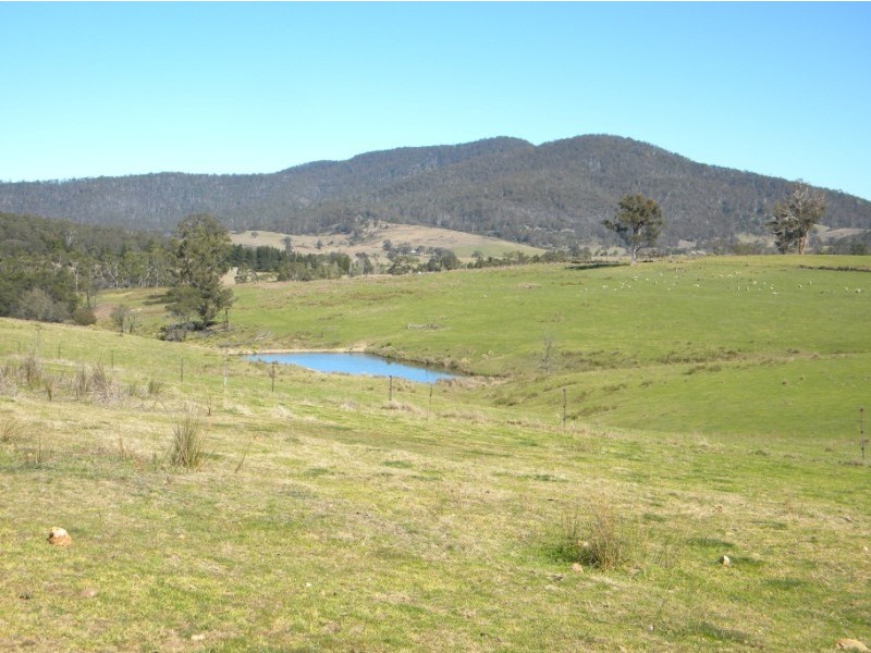 Wyndham NSW 2550