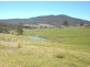 Wyndham NSW 2550