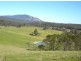 Wyndham NSW 2550