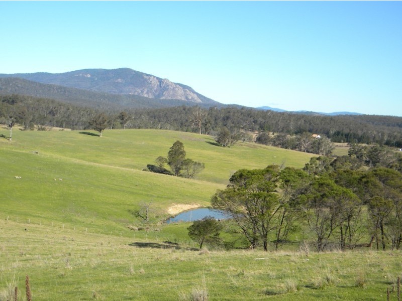 Wyndham NSW 2550