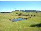 Wyndham NSW 2550