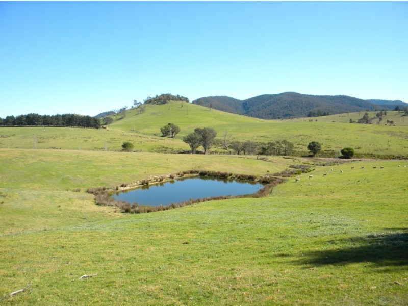 Wyndham NSW 2550