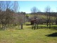 Wyndham NSW 2550