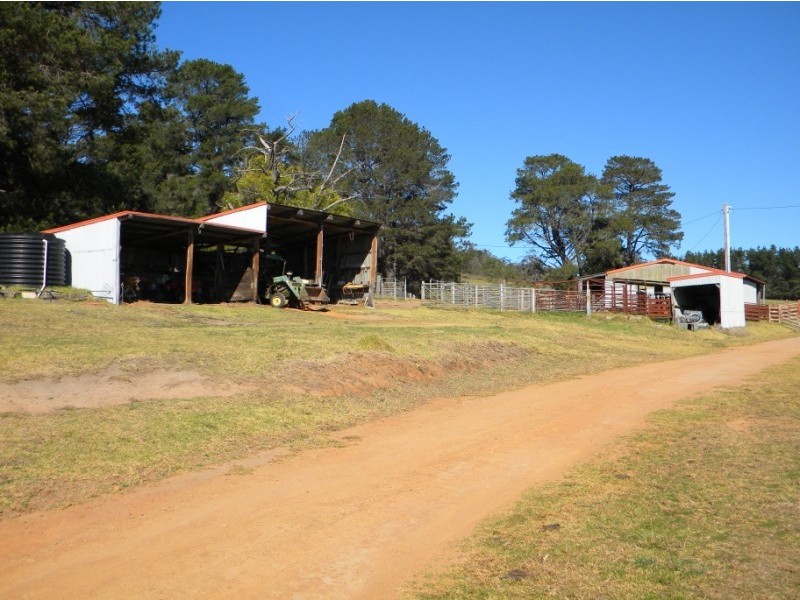 Wyndham NSW 2550