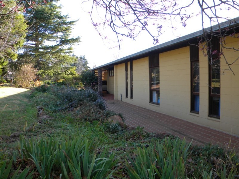 Wyndham NSW 2550