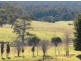 Wyndham NSW 2550