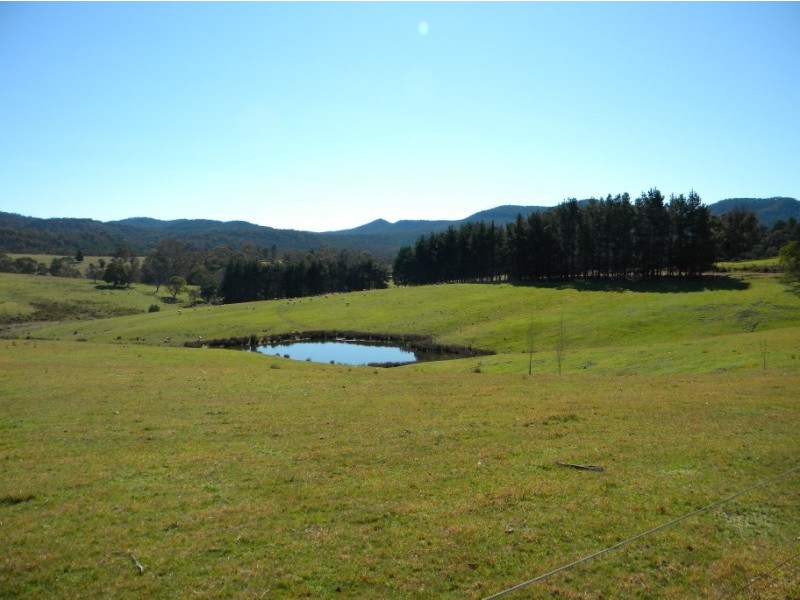 Wyndham NSW 2550