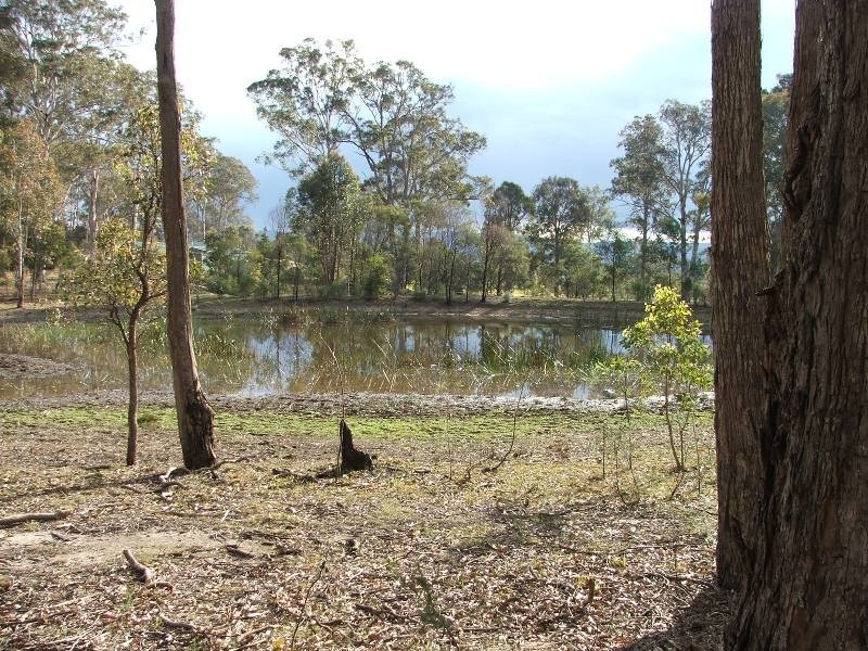 Bergalia NSW 2537