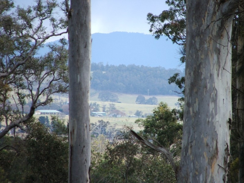 Bergalia NSW 2537