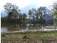 Bergalia NSW 2537