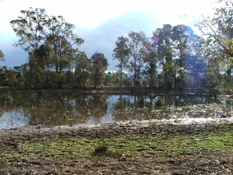 Bergalia NSW 2537