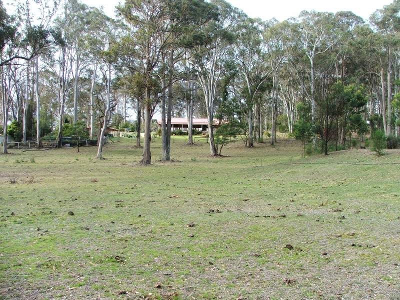 Bergalia NSW 2537