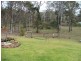 Bergalia NSW 2537