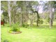 Bergalia NSW 2537