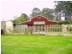 Bergalia NSW 2537