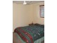 Bergalia NSW 2537