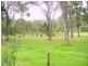 Congo NSW 2537