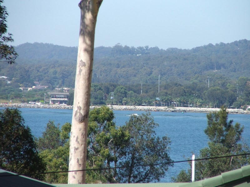 Surfside NSW 2536
